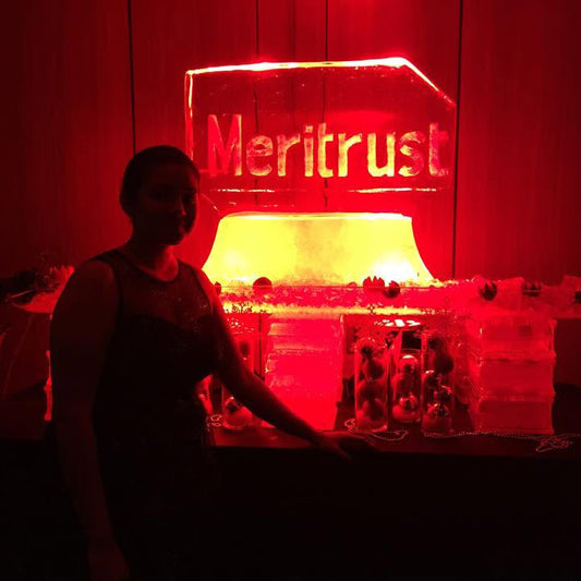 Learning, Leading, and Growing at Meritrust